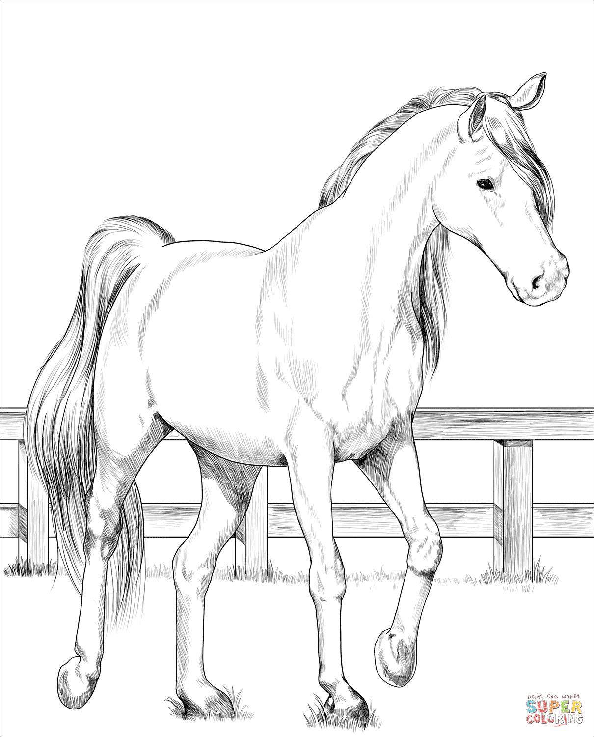 Realistic Horses Coloring Pages Coloring Home Realistic Horses Coloring Pages Coloring Home