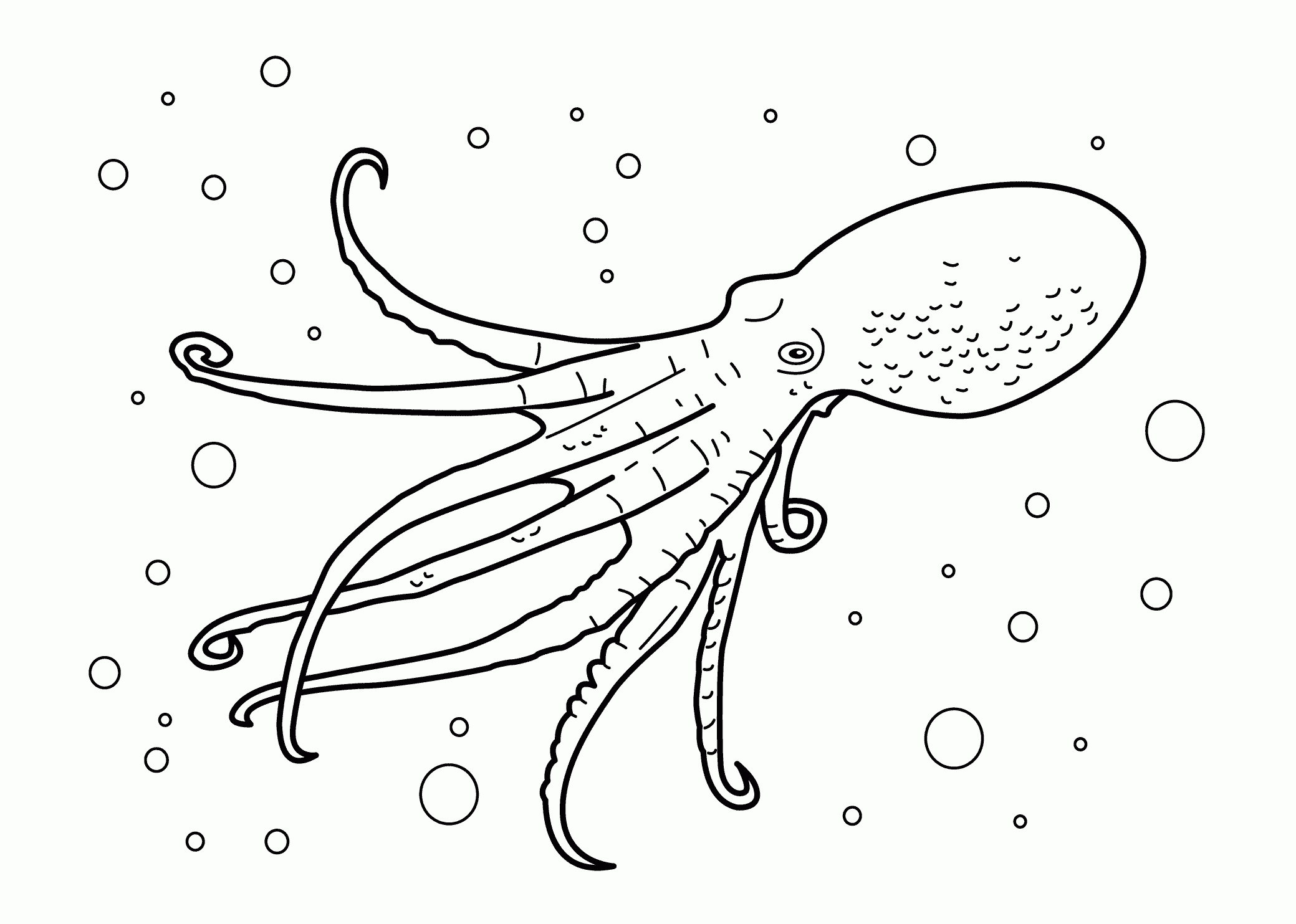 Realistic Ocean Animals Coloring Pages Realistic Ocean Animals Coloring Pages