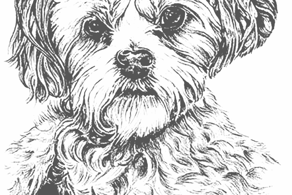 Realistic Puppy Coloirng Page Printable Coloring Pages FREE