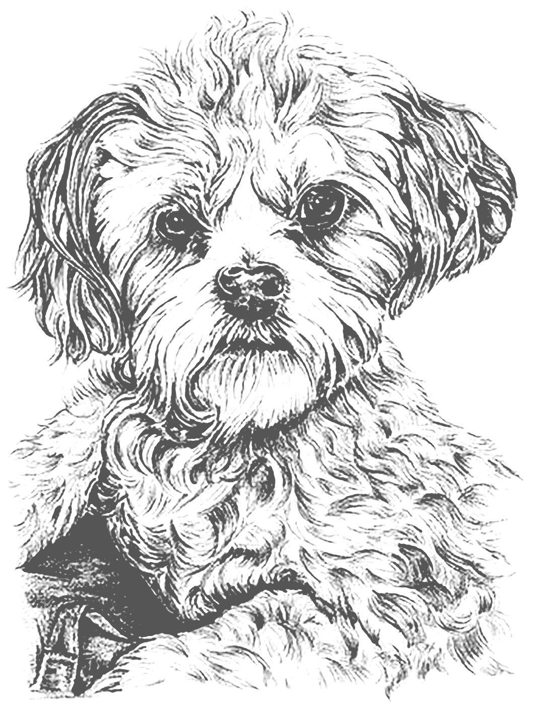Realistic Puppy Coloirng Page Printable Coloring Pages FREE