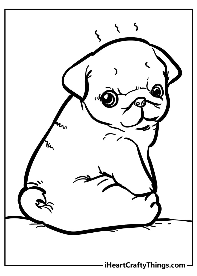 Realistic Puppy Coloring Pages