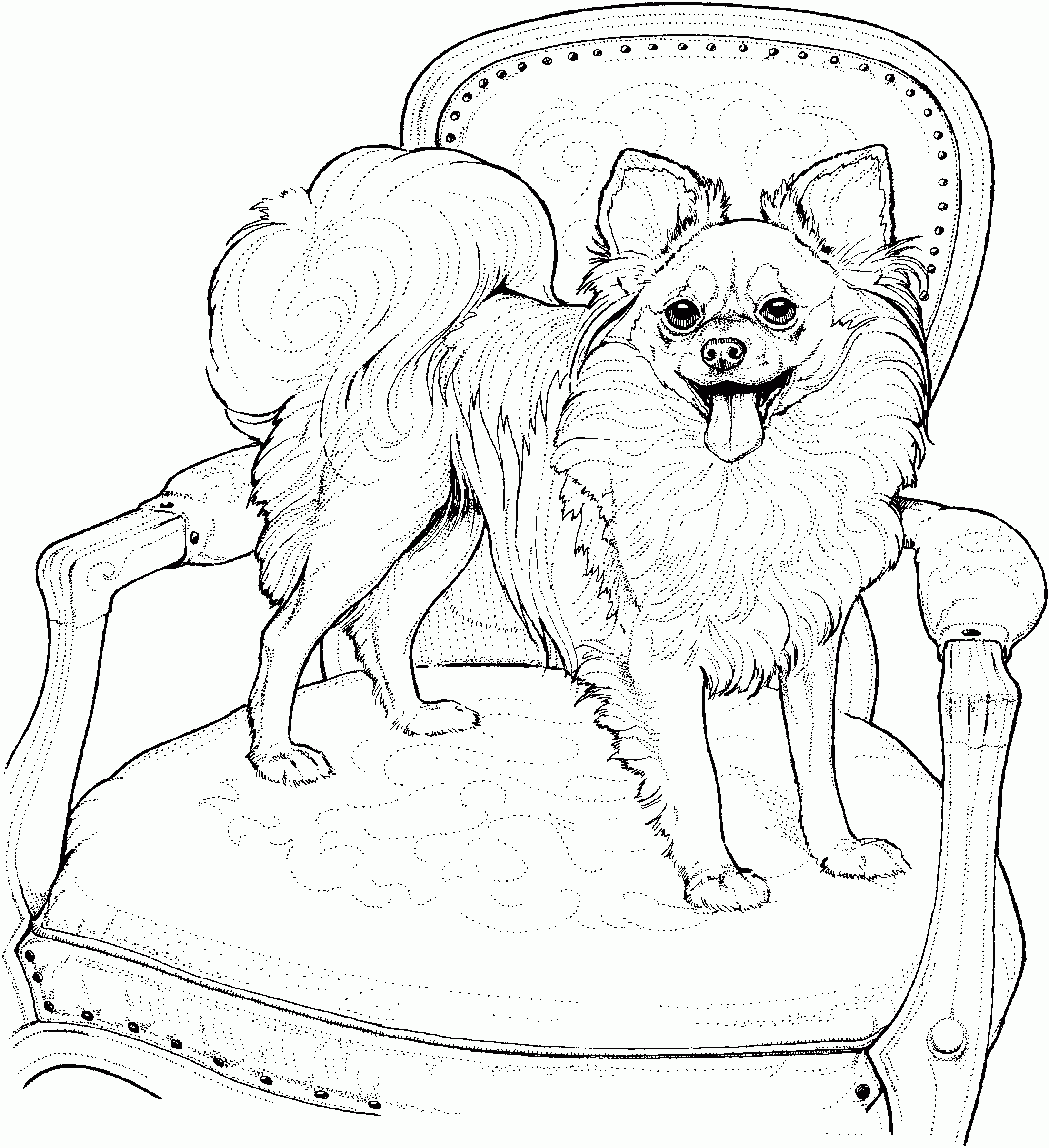 dog coloring sheets realistic dog coloring sheets realistic