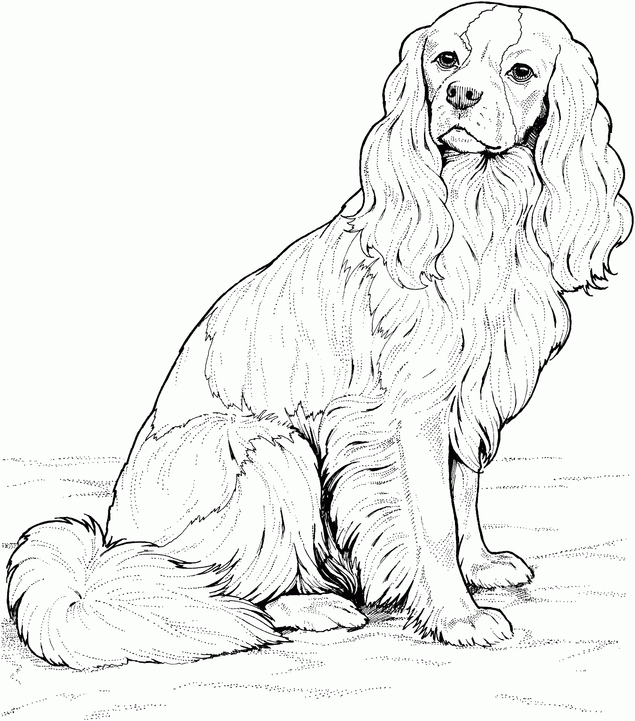 realistic puppy coloring sheet