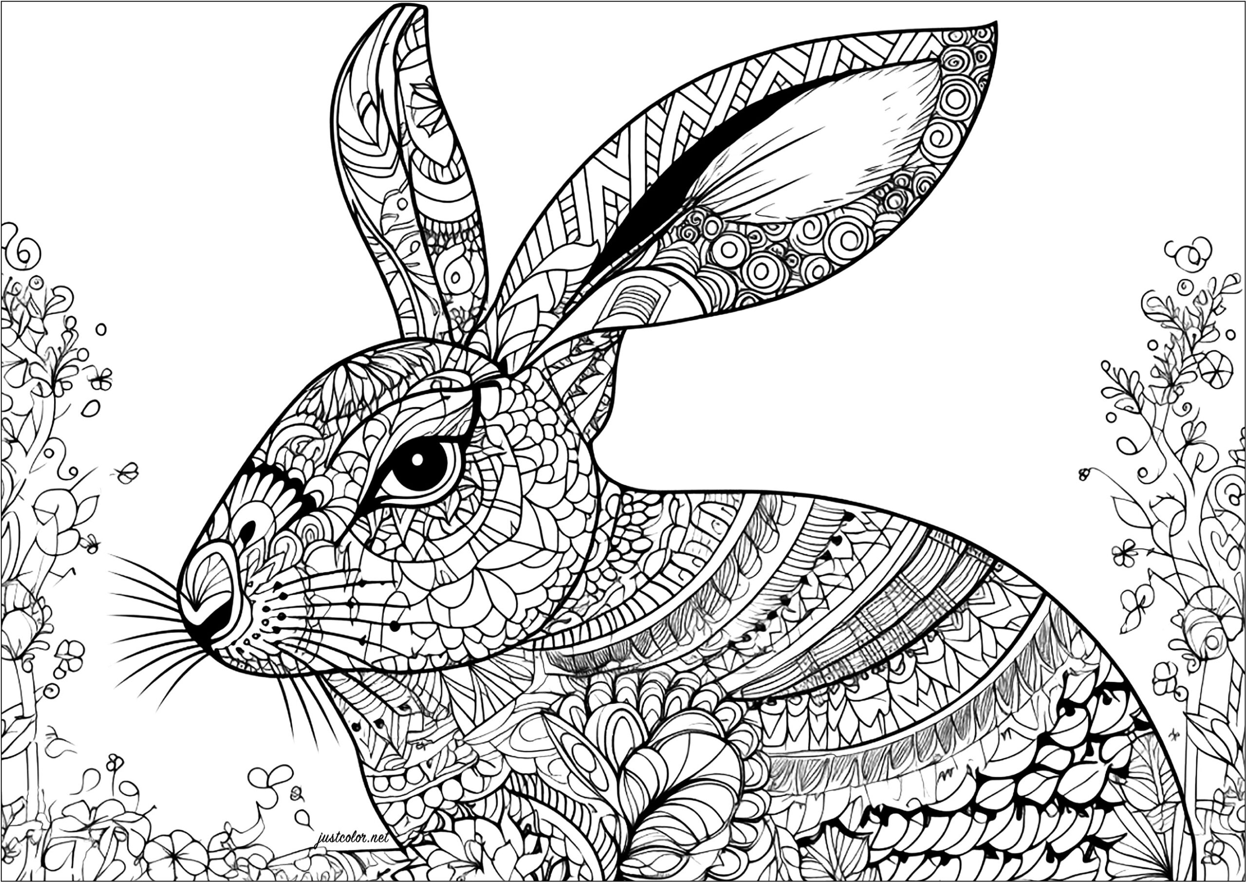 Realistic Rabbit With Pretty Patterns Rabbits Coloring Pages For Adults Realistic Rabbit With Pretty Patterns Rabbits Coloring Pages For Adults