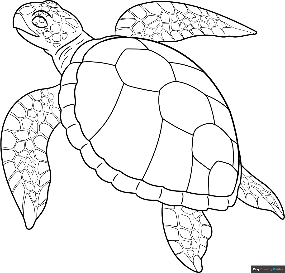 realistic sea turtle coloring page realistic sea turtle coloring page