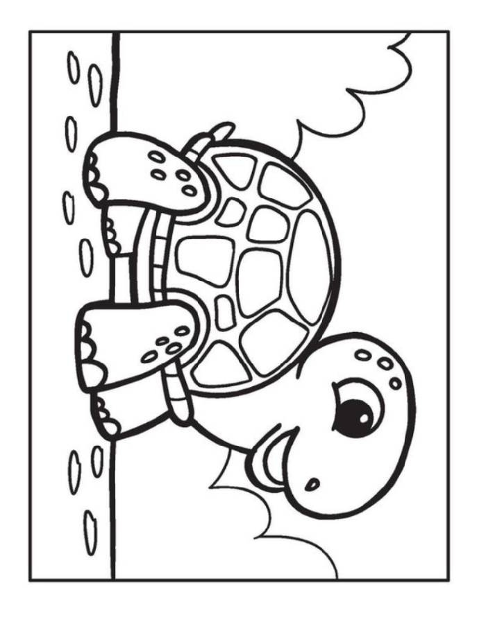 Realistic Sea Turtle Coloring Page Realistic Sea Turtle Coloring Page
