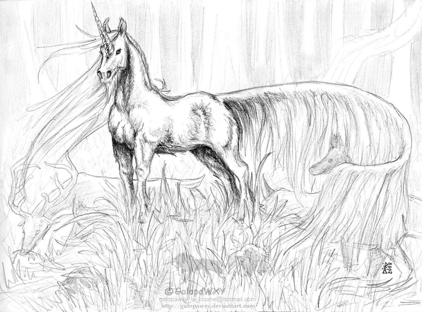 Realistic Unicorn Coloring Pages Coloring Home