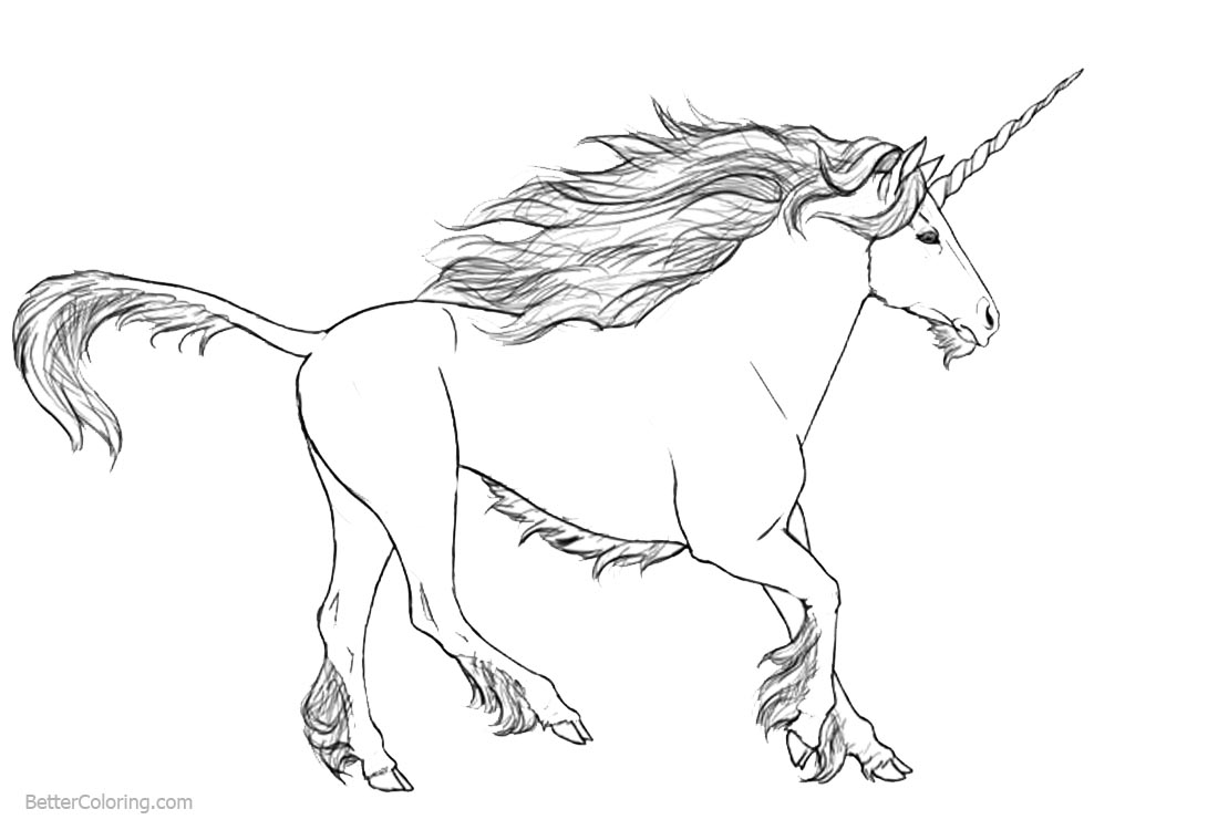 Realistic Unicorn Coloring Pages Free Printable Coloring Pages