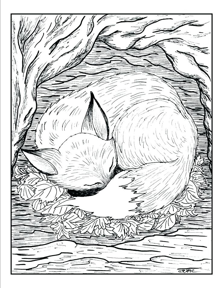 Realistic Wild Animal Coloring Pages At GetDrawings Free Download Realistic Wild Animal Coloring Pages At GetDrawings Free Download