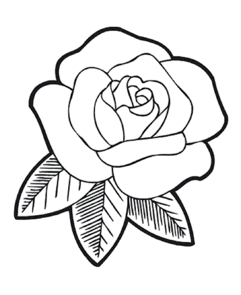 Rose Flower Coloring Pages Flower Coloring Page Rose Flower Coloring Pages Flower Coloring Page