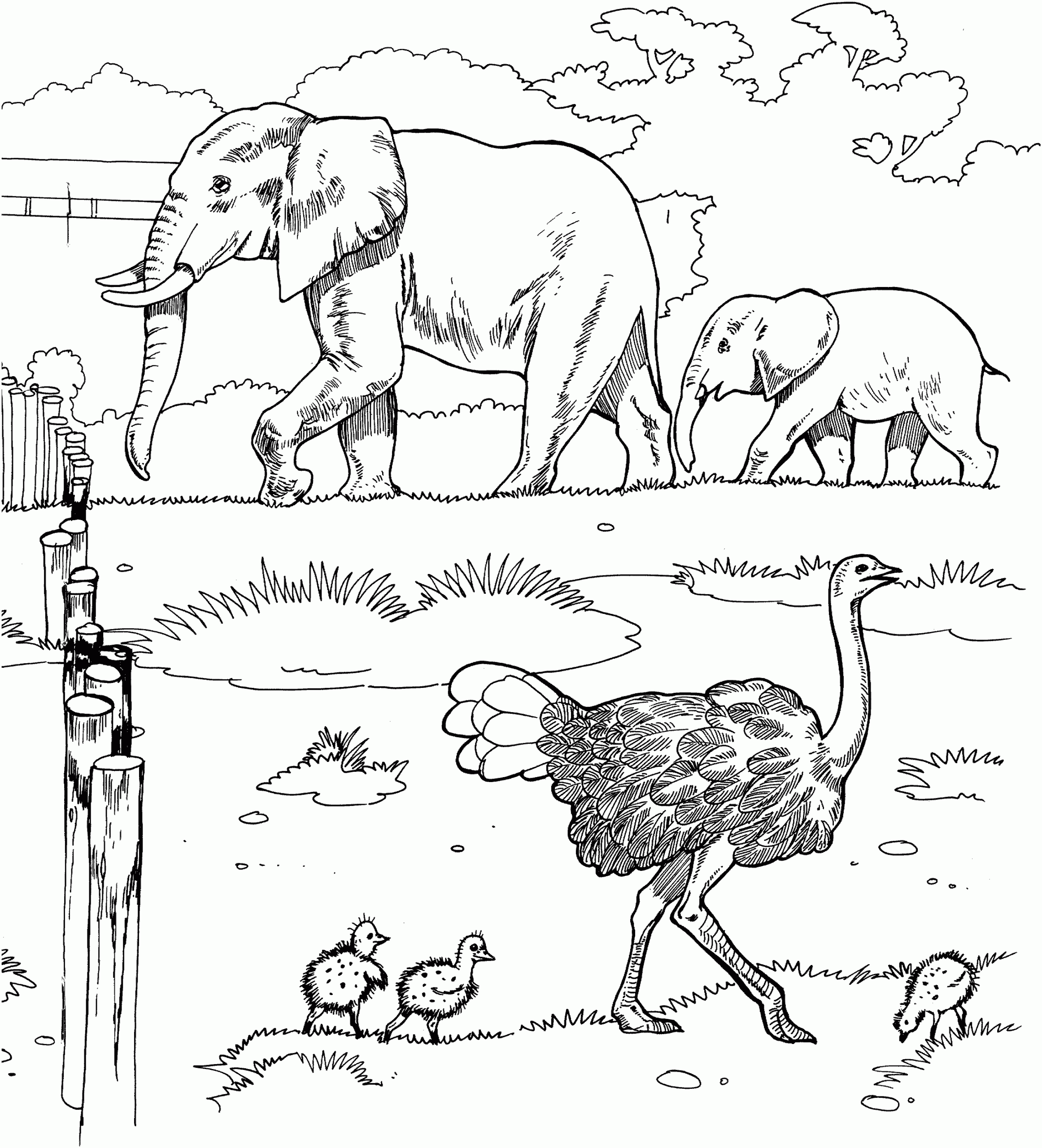 Savanna Coloring Pages Coloring Home Savanna Coloring Pages Coloring Home