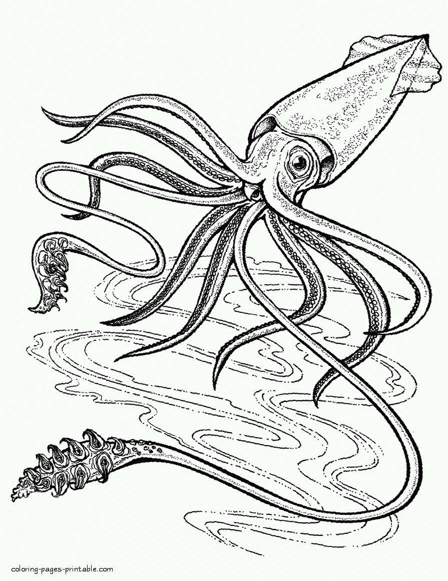 sea animal coloring pages sea animal coloring pages