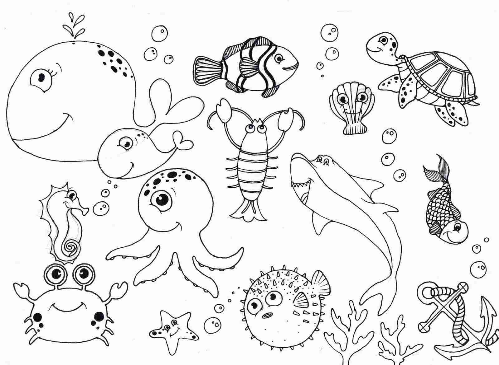 coloring page of ocean animals coloring page of ocean animals