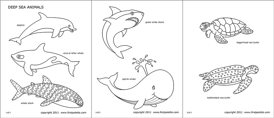 Sea Animals Free Printable Templates Coloring Pages FirstPalette