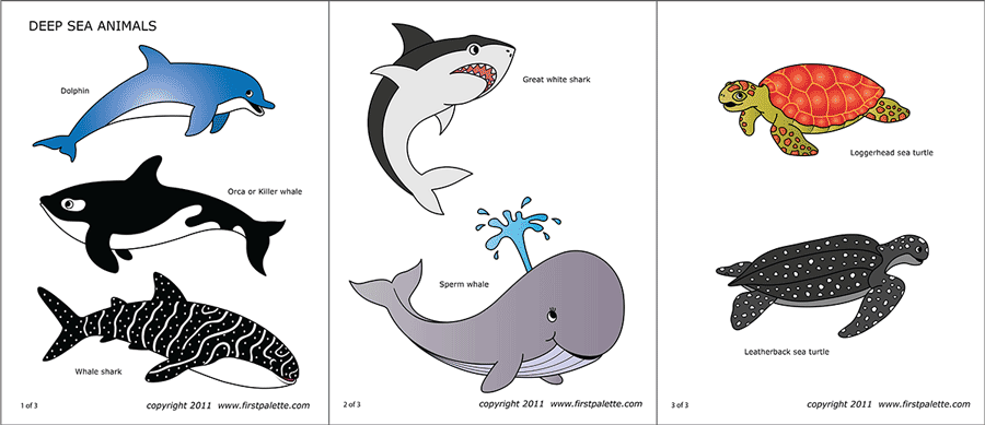 Sea Animals Free Printable Templates Coloring Pages FirstPalette Sea Animals Free Printable Templates Coloring Pages FirstPalette