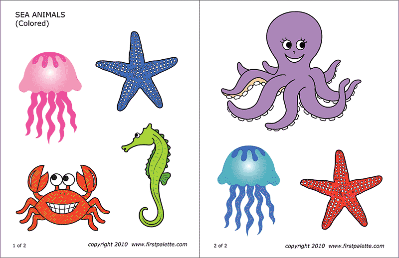 Sea Animals Free Printable Templates Coloring Pages FirstPalette