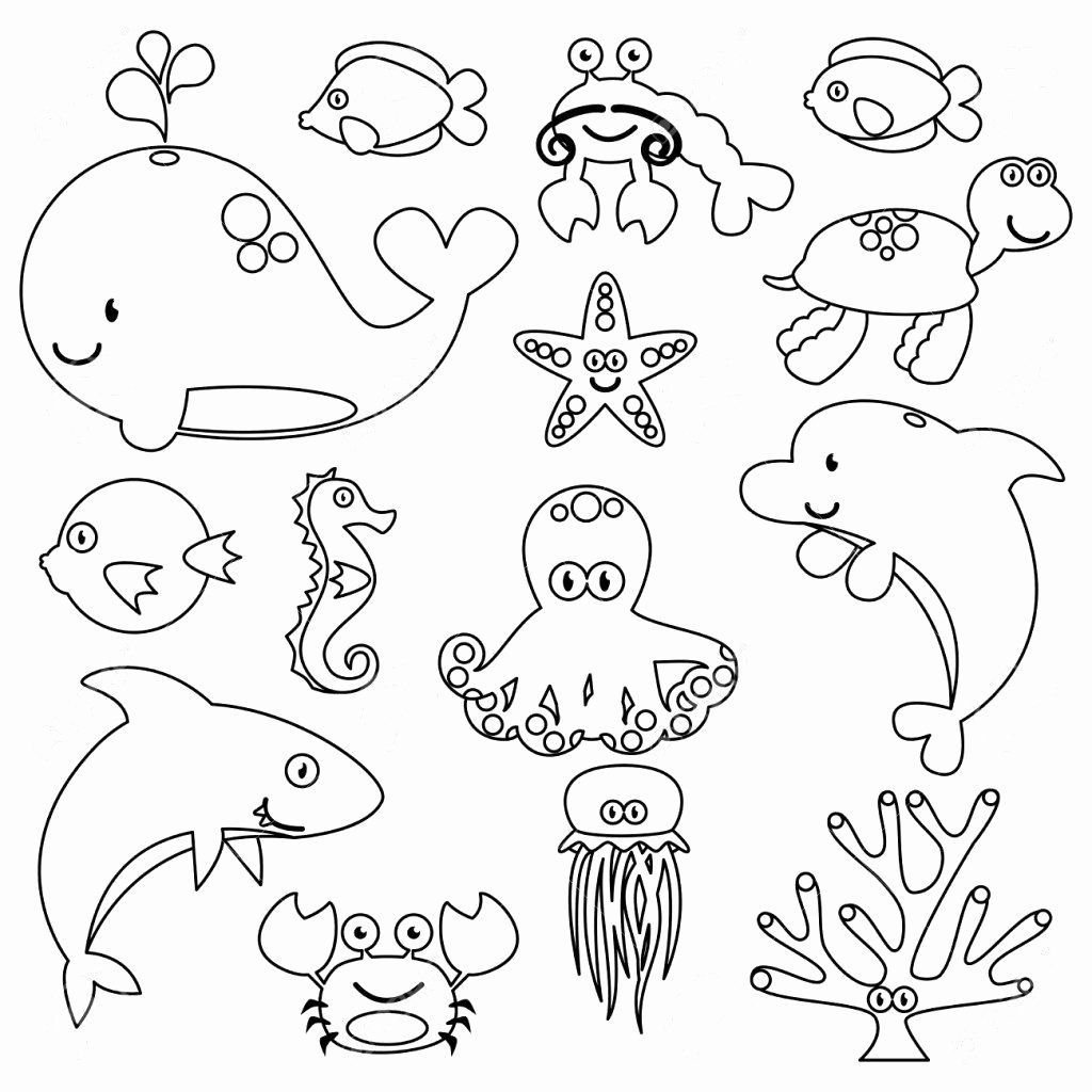 Sea Animals Printable Coloring Pages Sea Animals Printable Coloring Pages