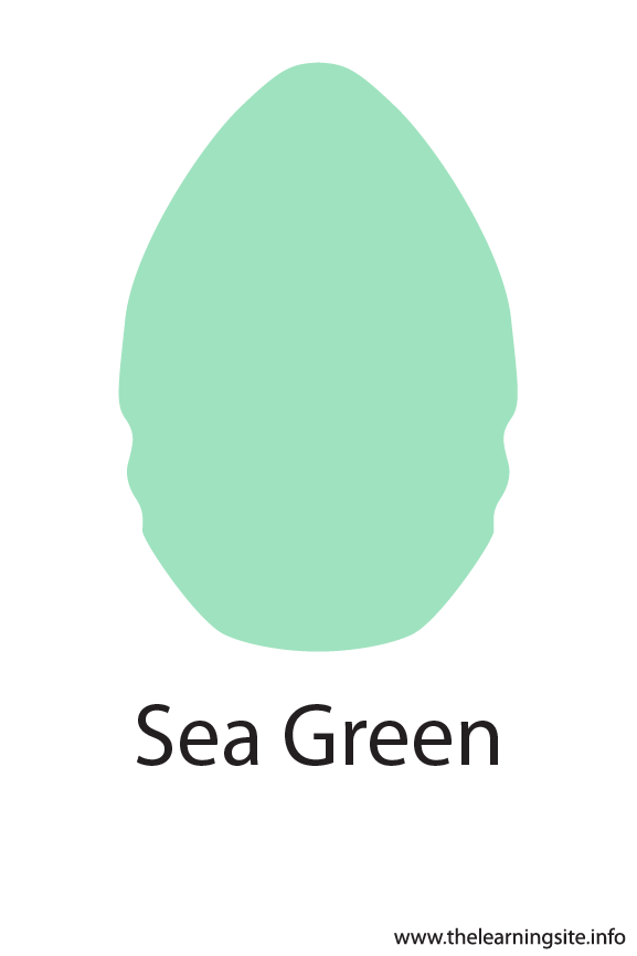 Sea Green Color Flashcard The Learning Site Sea Green Color Flashcard The Learning Site