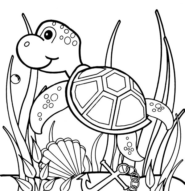 Sea Turtle Drawing Colouring Pages Free Printable Infoupdate