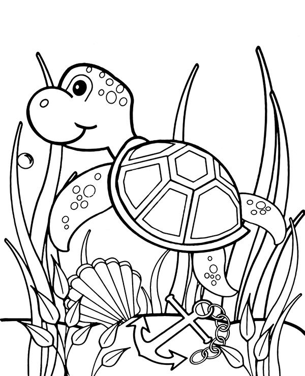 Sea Turtle Drawing Colouring Pages Free Printable Infoupdate Sea Turtle Drawing Colouring Pages Free Printable Infoupdate