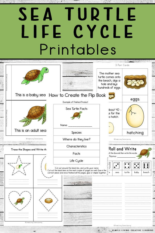 free printable sea turtle printables free printable sea turtle printables