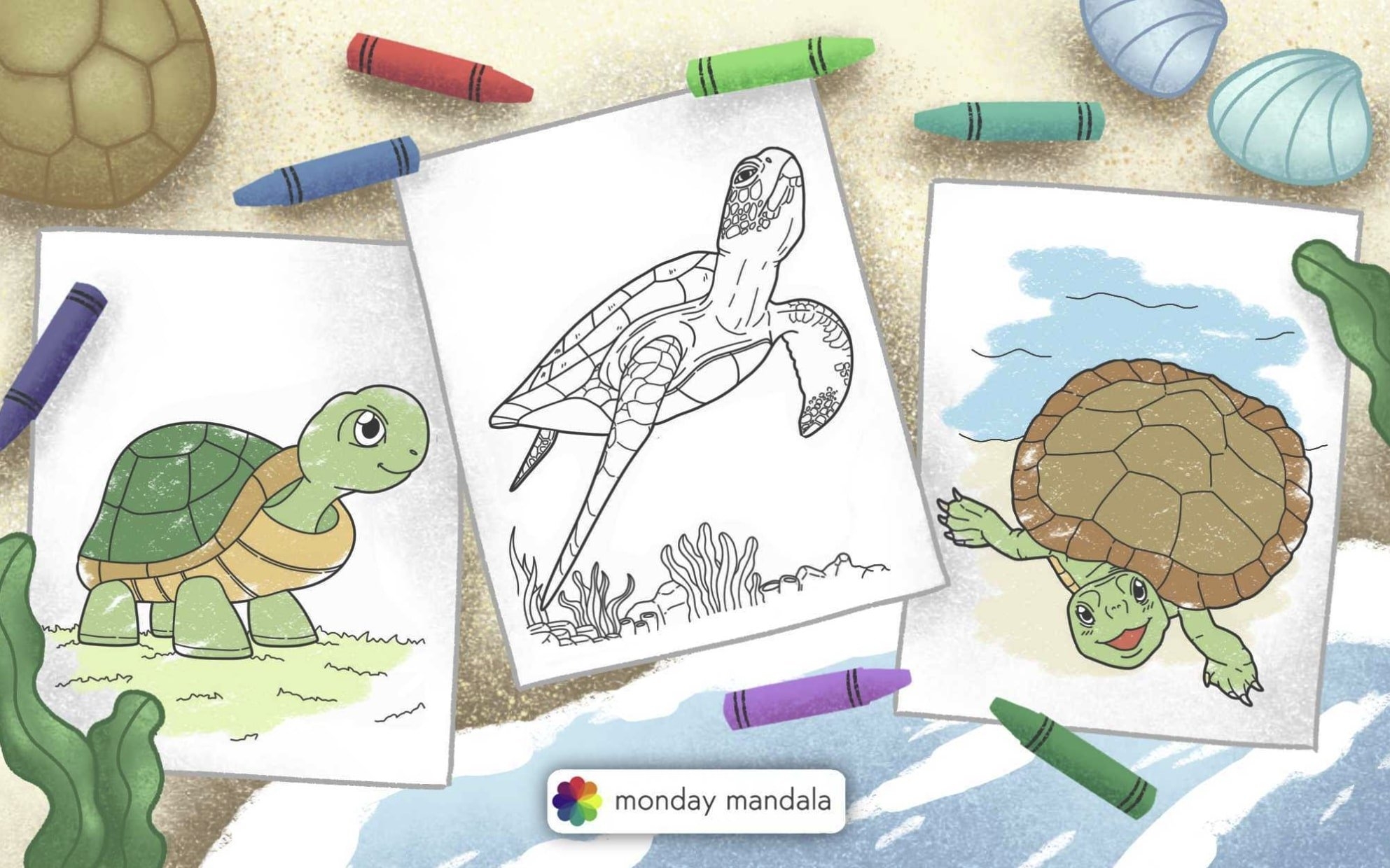Sea Turtle Pictures Printable To Color Infoupdate Sea Turtle Pictures Printable To Color Infoupdate