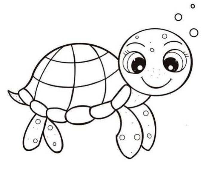 Sea Turtle Printable Coloring Page