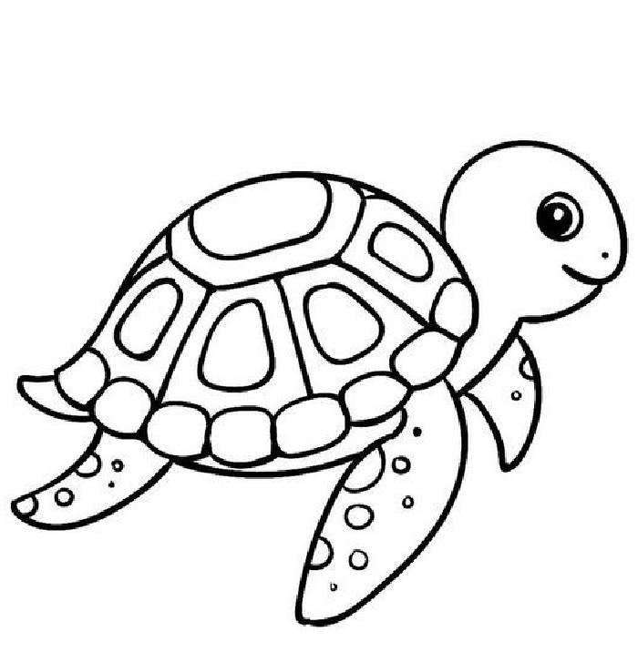 sea turtle printable coloring page sea turtle printable coloring page