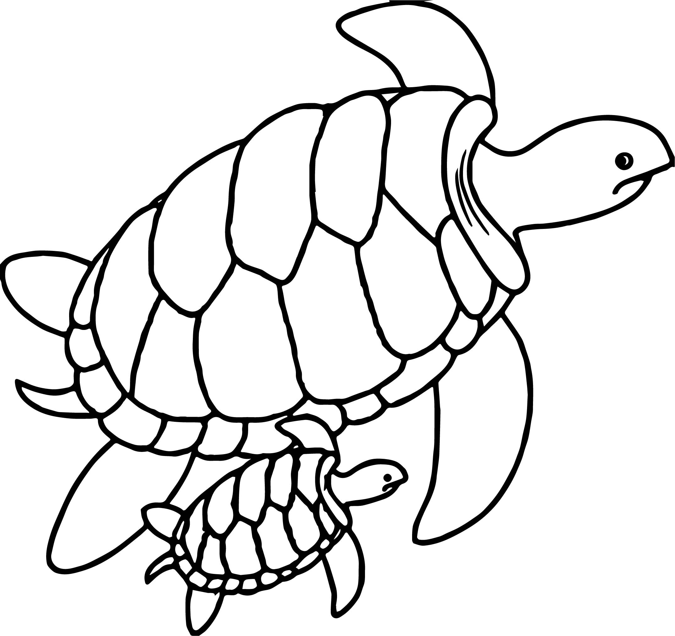 printable turtle to color printable turtle to color