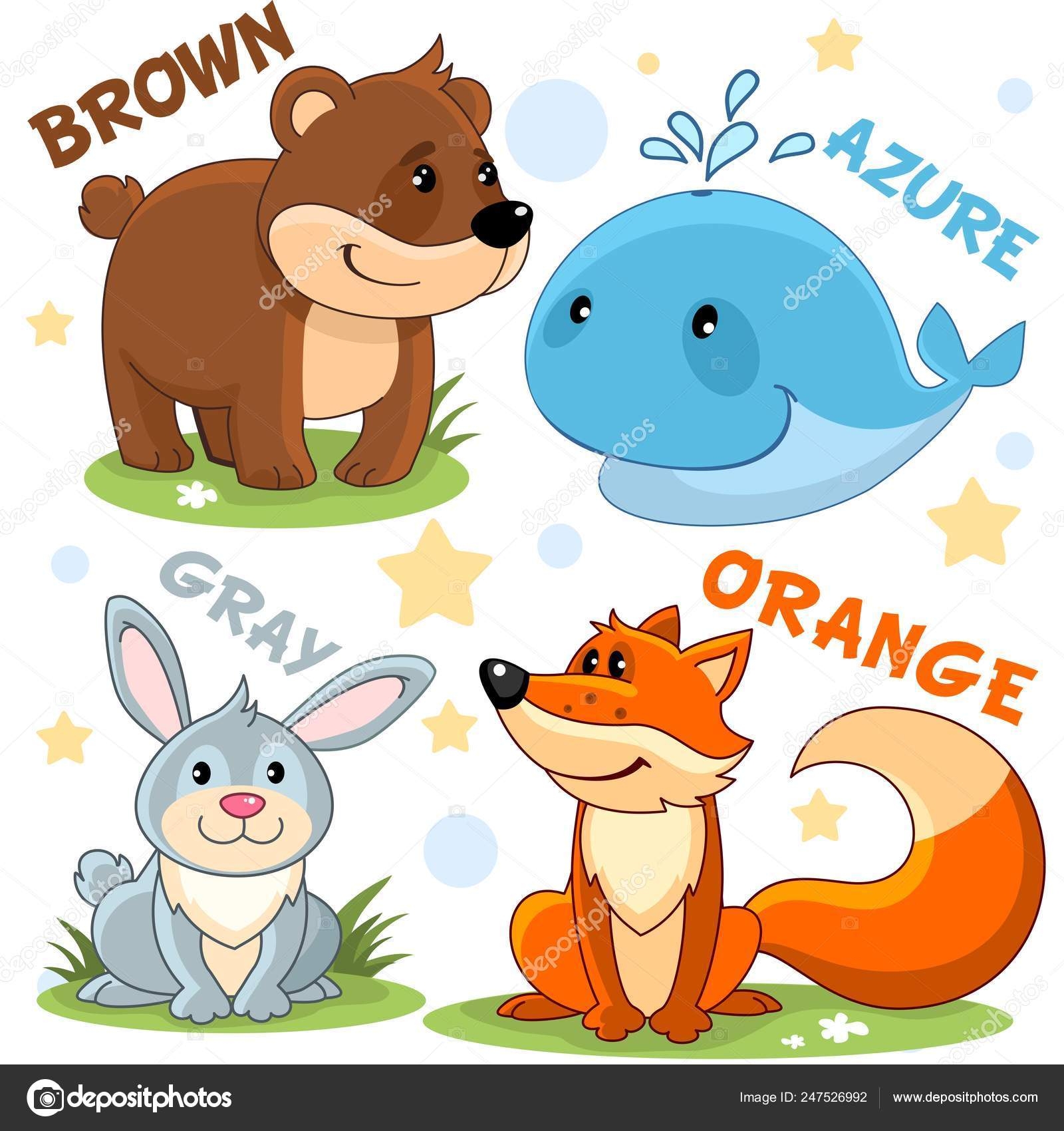 Set Different Colors Animals Children Education Brown Bear Azure Whale Set Different Colors Animals Children Education Brown Bear Azure Whale