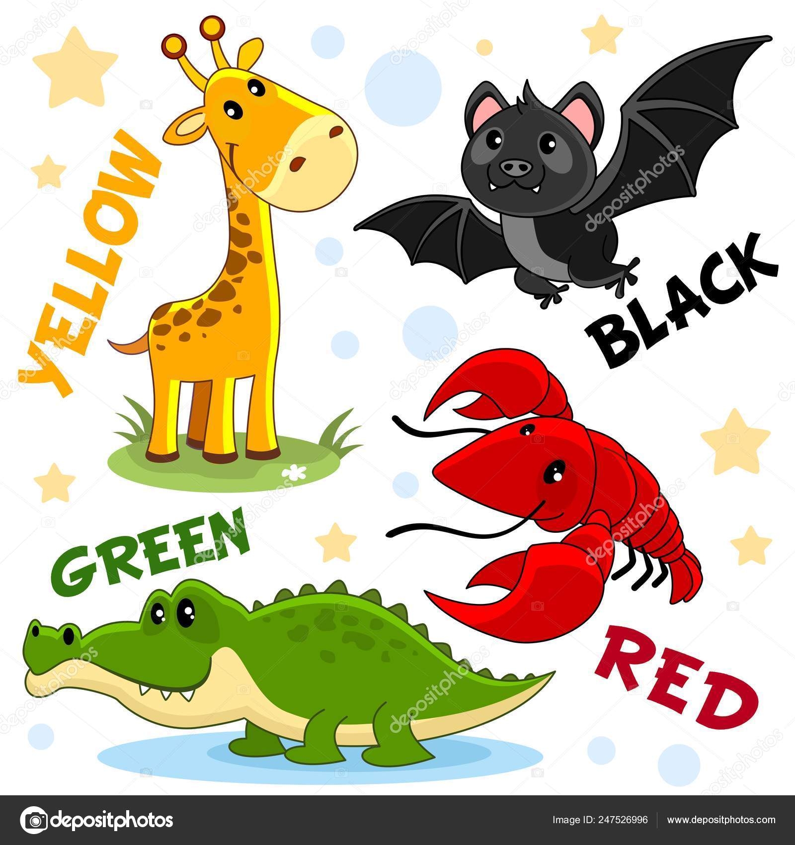Set Different Colors Animals Children Education Colors Black Bat Yellow Set Different Colors Animals Children Education Colors Black Bat Yellow