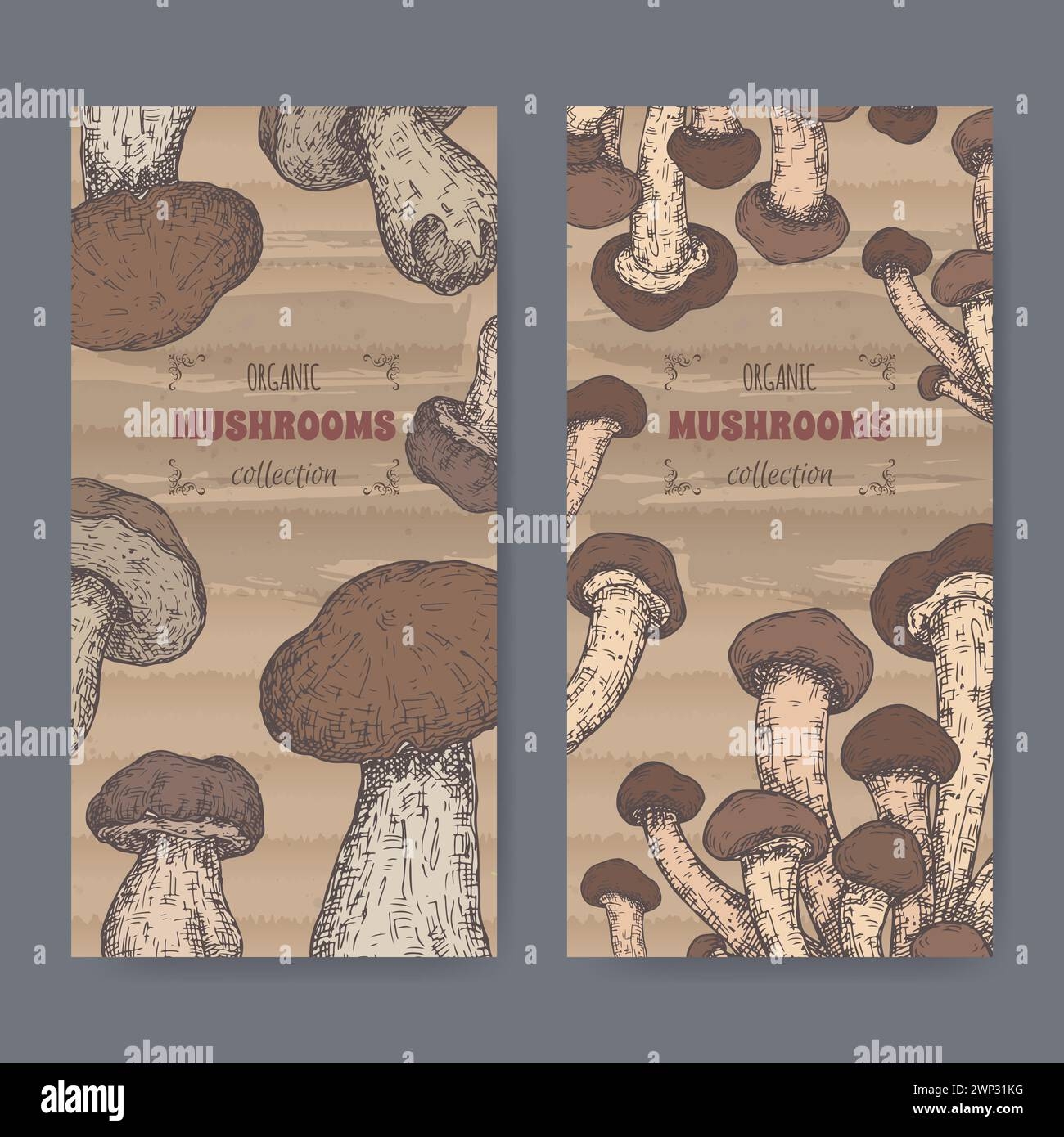 Set Of Two Color Labels With Cyclocybe Aegerita Aka Poplar Mushroom Set Of Two Color Labels With Cyclocybe Aegerita Aka Poplar Mushroom