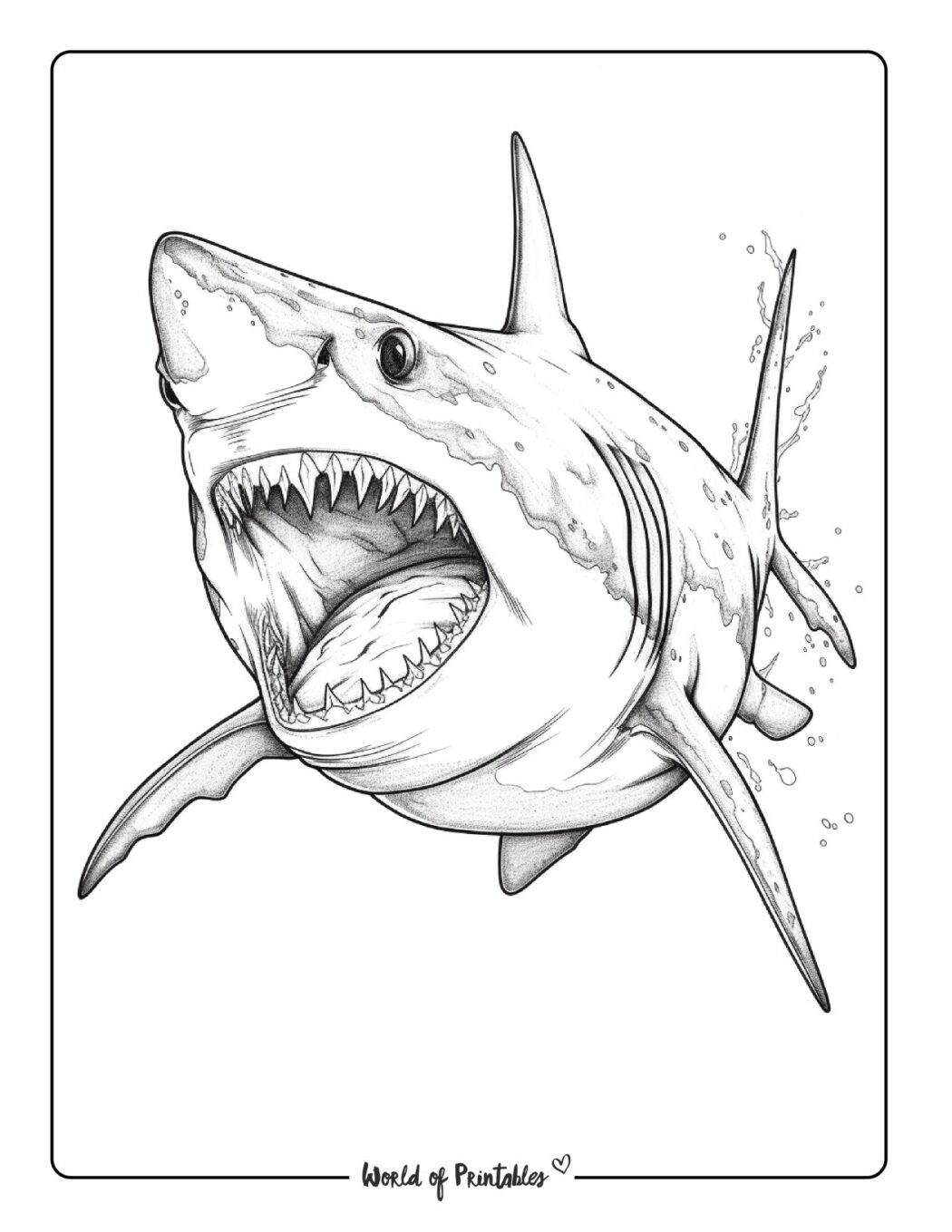 printable shark pictures to color
