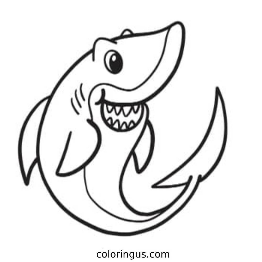 shark coloring page pdf shark coloring page pdf