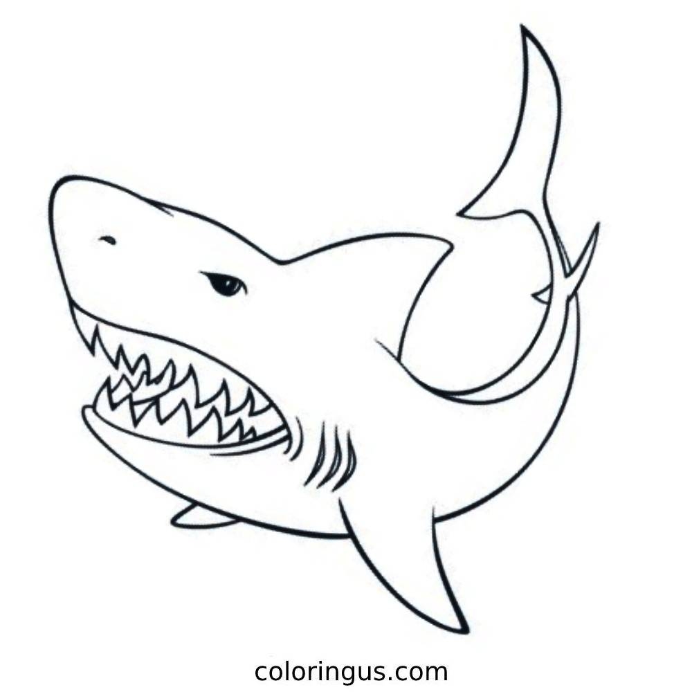 Shark Coloring Pages Free Printable PDF Sheets Shark Coloring Pages Free Printable PDF Sheets