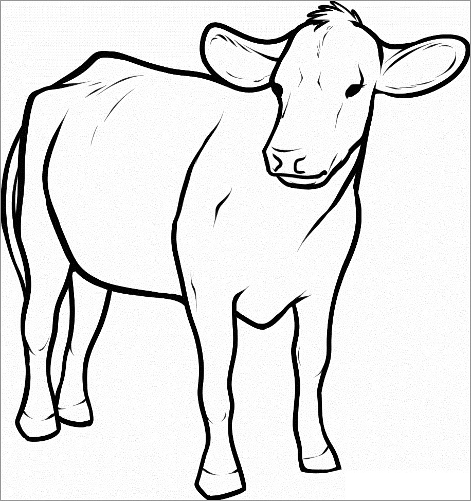 Simple Cow Coloring Page ColoringBay Simple Cow Coloring Page ColoringBay