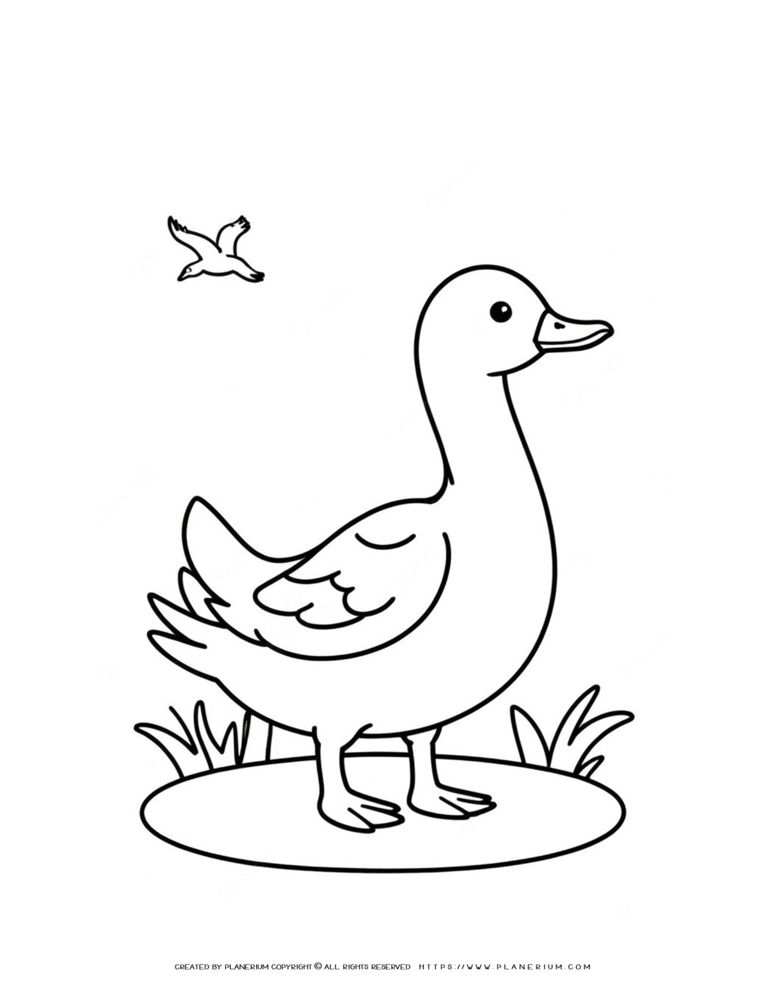 Simple Goose Coloring Page For Kids quot Simple Goose Coloring Page For Kids quot