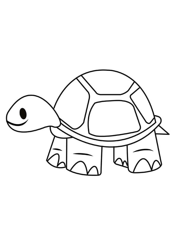 Simple Turtle Coloring Page Free Printable Coloring Pages For Kids Simple Turtle Coloring Page Free Printable Coloring Pages For Kids