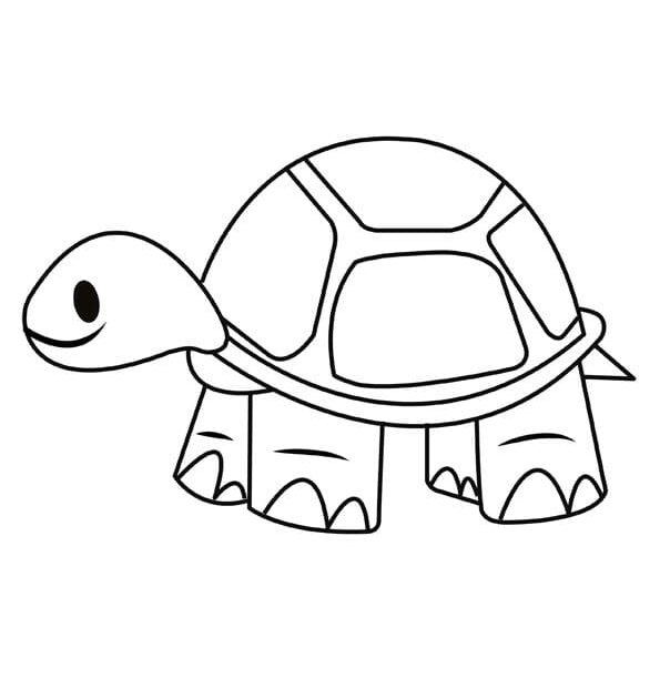Simple Turtle Coloring Page Free Printable Coloring Pages For Kids