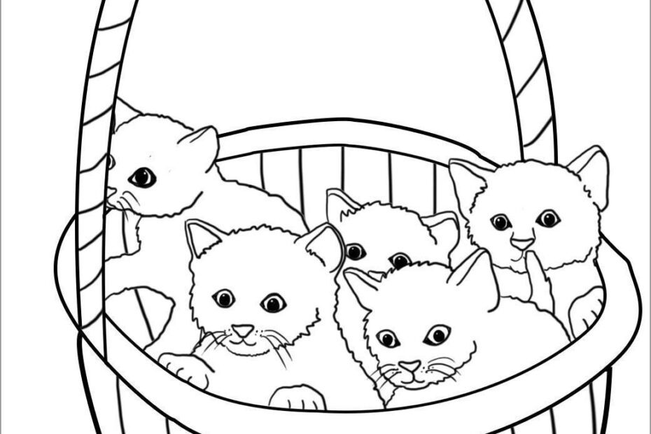 Sleeping Kitten Coloring Pages ColoringBay