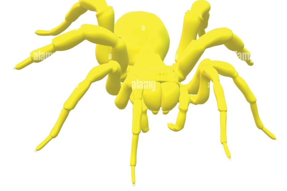 Solid Yellow Colored Spider Arachnid Decoration Stock Vector Image