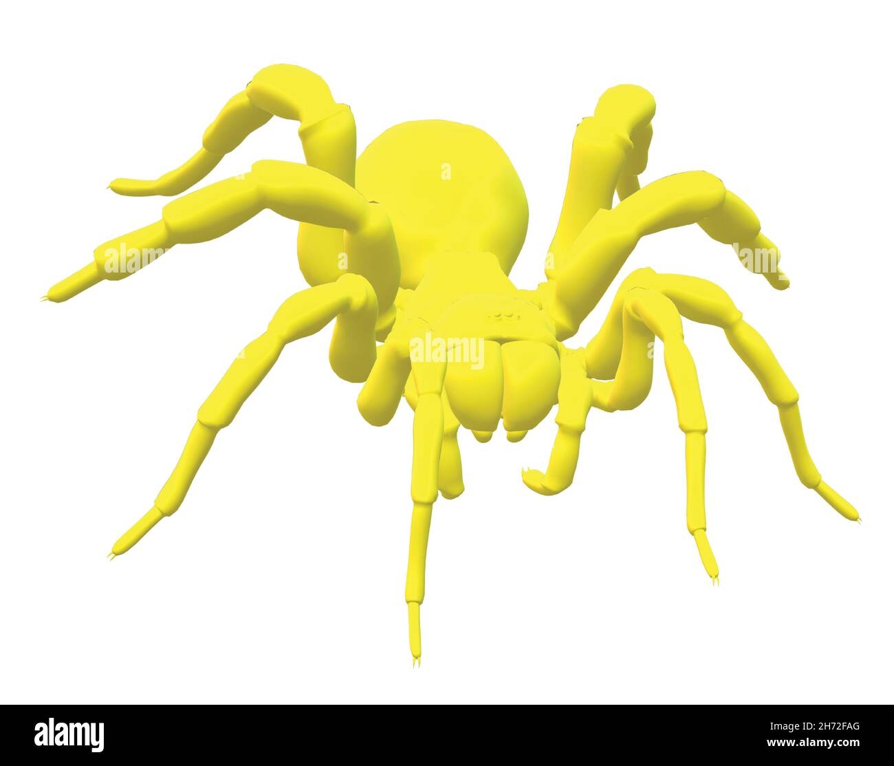 Solid Yellow Colored Spider Arachnid Decoration Stock Vector Image Solid Yellow Colored Spider Arachnid Decoration Stock Vector Image