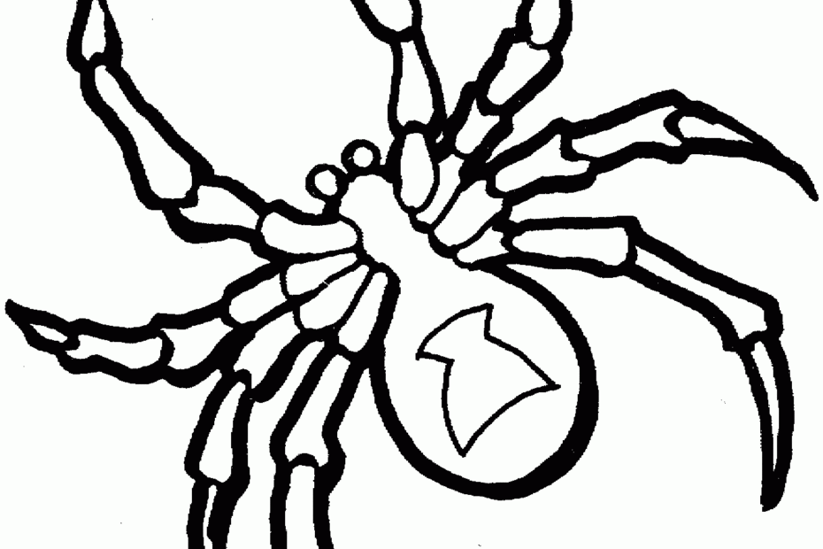 Spider Coloring Pages Printable Coloring Home