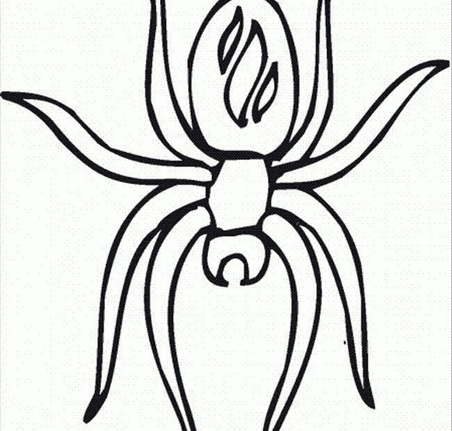 Spider Coloring Pages Printable Coloring Home
