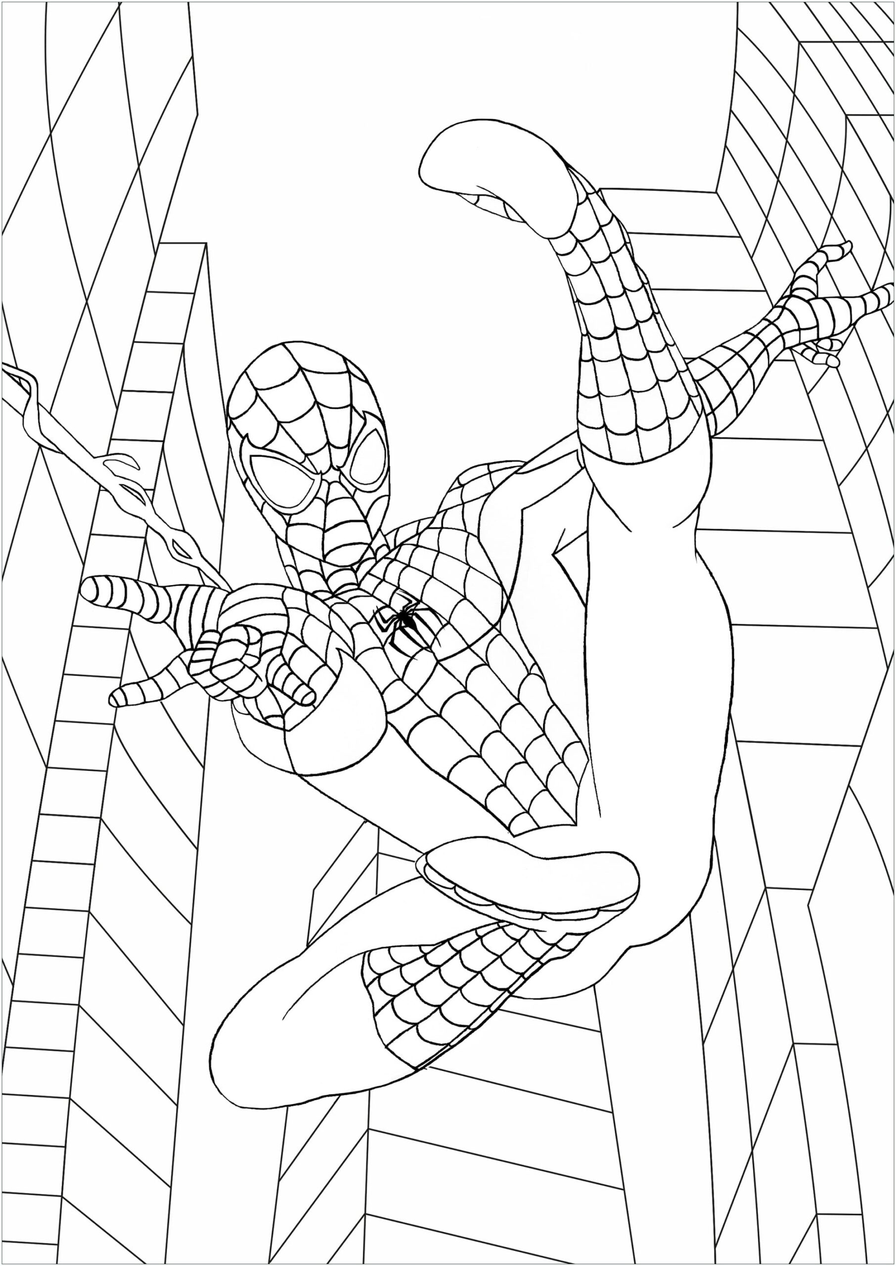 free spider-man coloring sheets