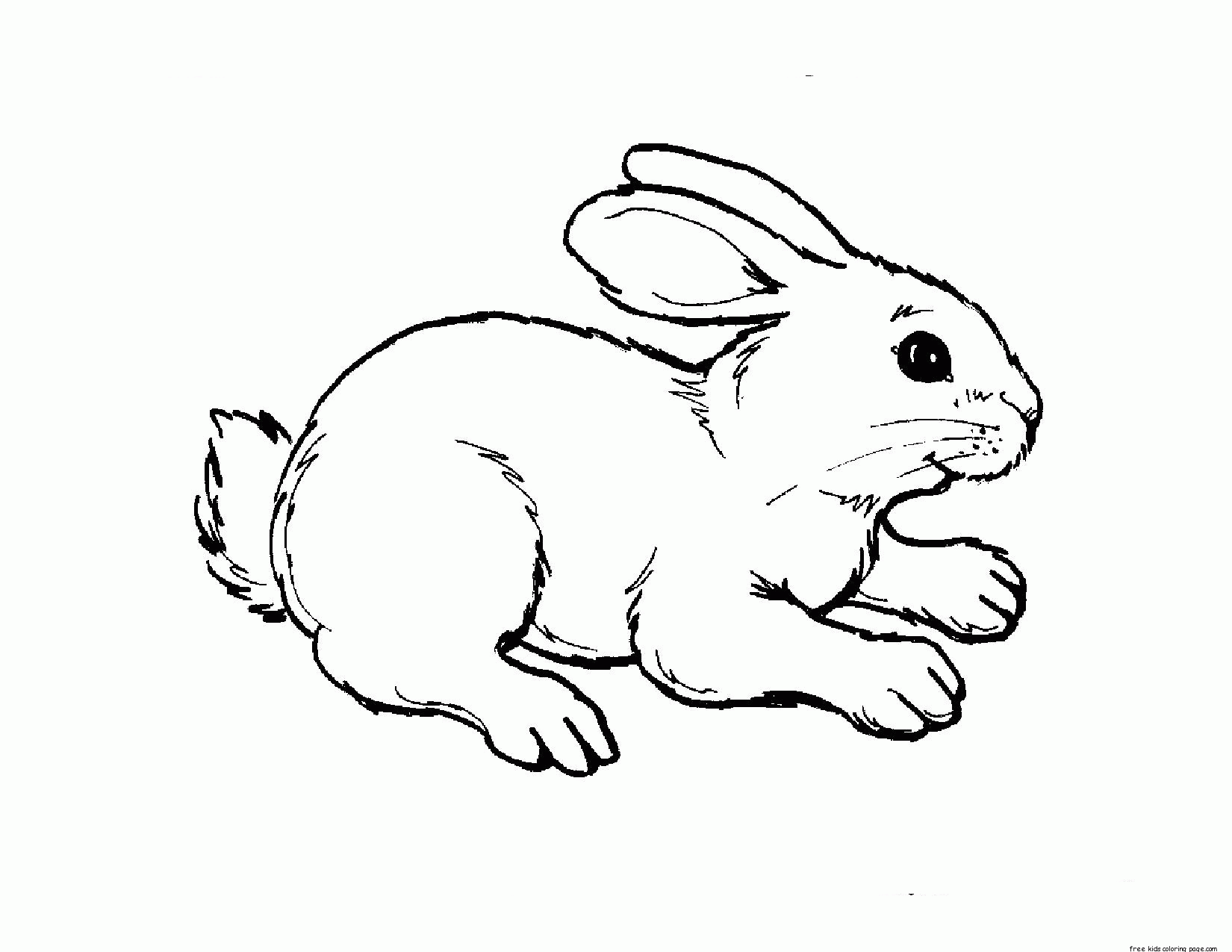 Spring Animal Coloring Pages Coloring Home Spring Animal Coloring Pages Coloring Home