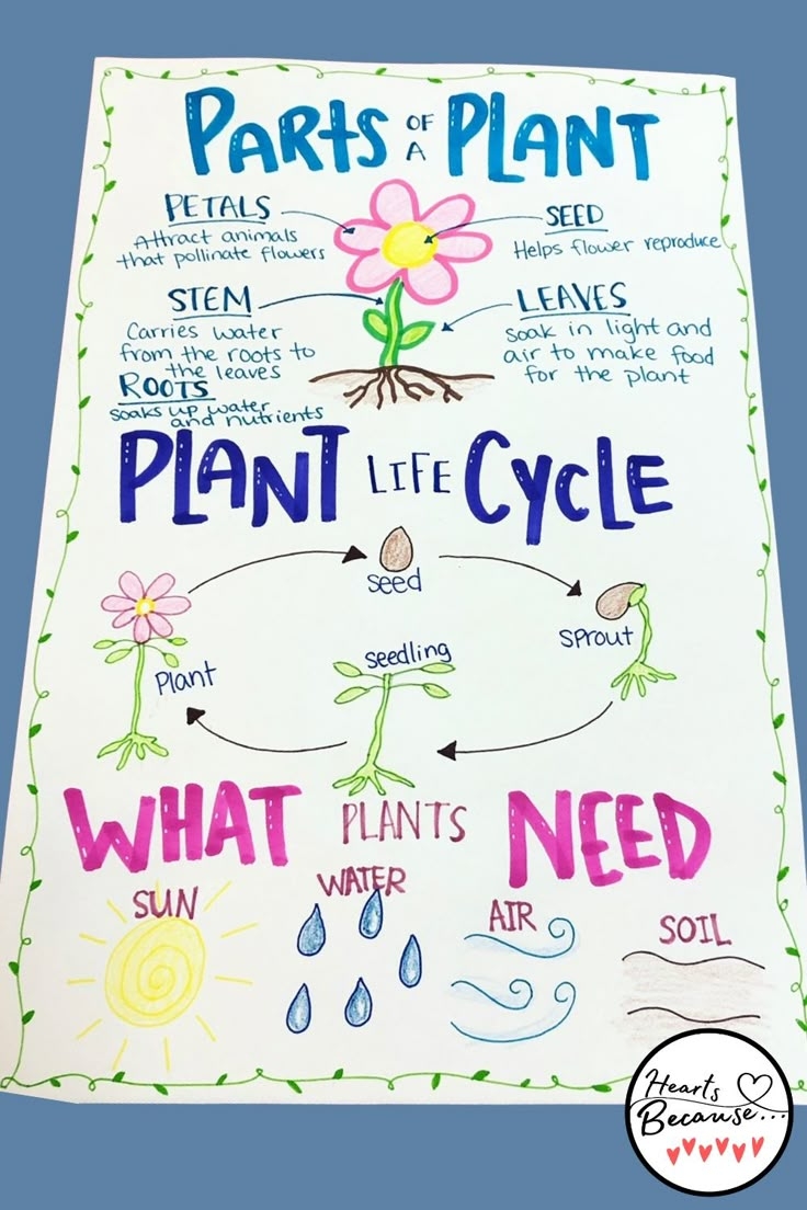 Spring Parts Of A Plant Life Cycle Anchor Cart Plant Lessons Plant Spring Parts Of A Plant Life Cycle Anchor Cart Plant Lessons Plant