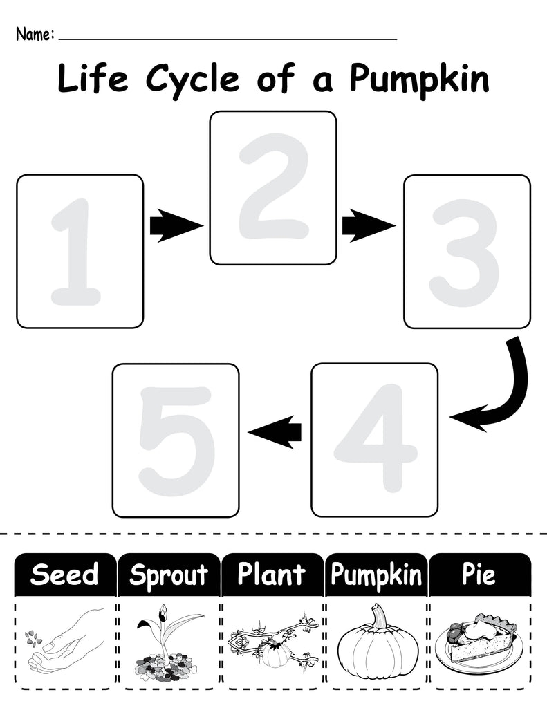 Star Life Cycle Worksheet Storyboard Von Kristen Worksheets Library Star Life Cycle Worksheet Storyboard Von Kristen Worksheets Library