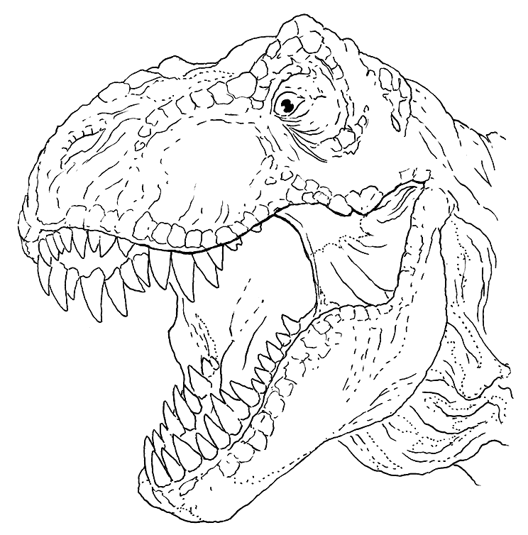T Rex Coloring Pages Printable Coloring Pages FREE T Rex Coloring Pages Printable Coloring Pages FREE