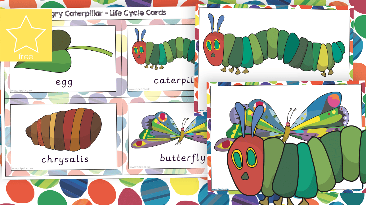 Teacher 39 s Pet The Very Hungry Caterpillar Life Cycle Cards